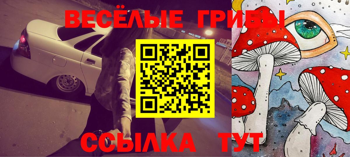 Гусиноозёрск  Галлюциногенные грибы ЛСД  Вход с VPN  Галлюциногенные грибы прущие грибы 